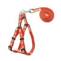 [펫츠컴퍼니] 도그프린팅 하네스세트 15mm (색상랜덤) [반려동물]