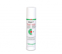 [베토퀴놀] 애니실-F 100ml 고양이 엘라이신 영양제 [반려동물]