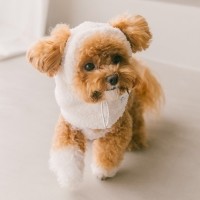 스캠퍼 이지 핏 워머햇 3color