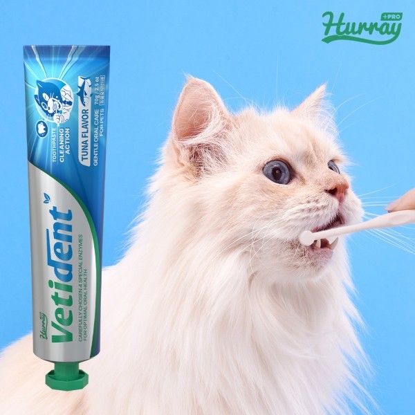 페오펫몰,[허레이][꽃길특가] 프로 베티덴트 치약 사과향+참치향 2개 SET 바르는 겔제형