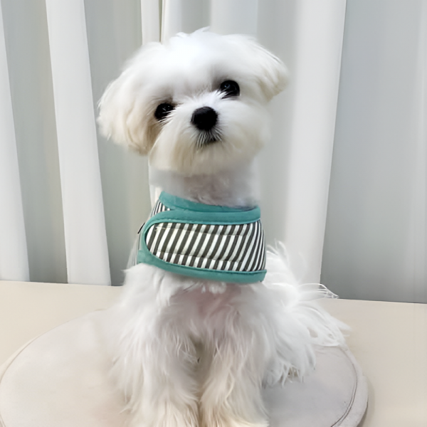 [스윗테일] [꽃길특가] 핸드메이드 강아지 스트라이프 하네스 XL [반려동물]