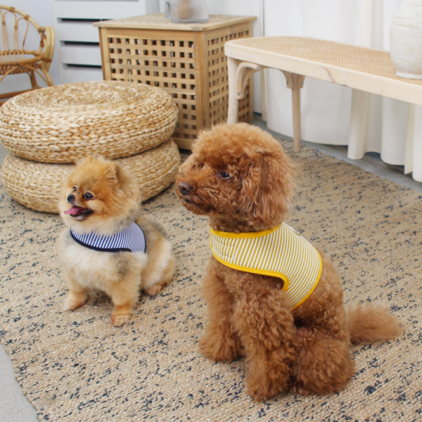 페오펫몰,[스윗테일] [꽃길특가] 핸드메이드 강아지 스트라이프 하네스 XL [반려동물]