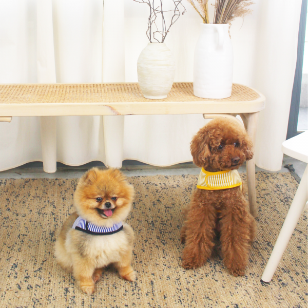 페오펫몰,[스윗테일] [꽃길특가] 핸드메이드 강아지 스트라이프 하네스 XL [반려동물]