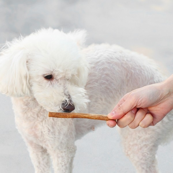 페오펫몰,[오래오래프로젝트] 깨끗한육포 오래먹는 낙타목 200g