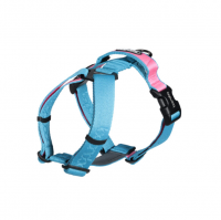 [분독] 플레이하네스 아쿠아핑크 M [최저가]