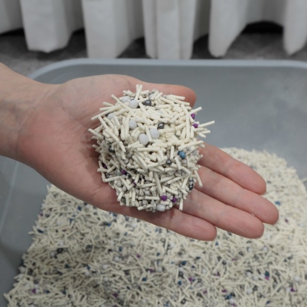 페오펫몰,딩동펫 고양이 수퍼 식스 벤토나이트 두부 모래 2.5kg 1개