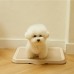 썸네일(스크롤)