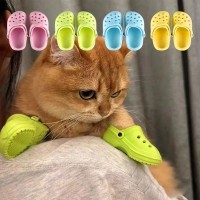 크레용펫 고양이 냥록스 애견  신발 촬영 소품