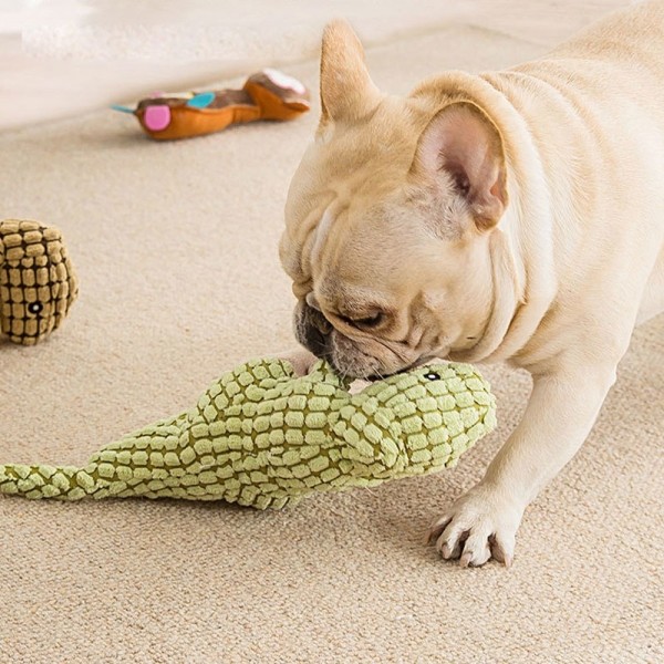 페오펫몰,크레용펫 강아지 장난감 인형 봉제 공룡 삑삑이 치석제거