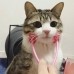 썸네일(스크롤)
