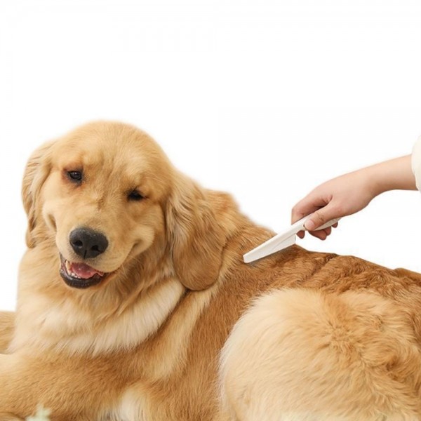 페오펫몰,크레용펫 강아지 눈꼽빗 얼굴빗  미니 슬리커 참빗 콤