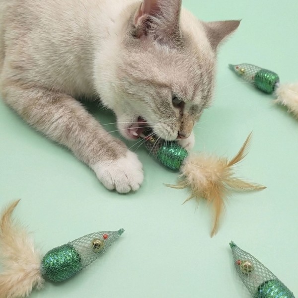 페오펫몰,크레용펫 쫀쫀 메쉬 쥐돌이 장난감