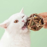 [꽃길특가]크레용펫 캣닢 쏙 마따따비 둥지볼 7.5cm