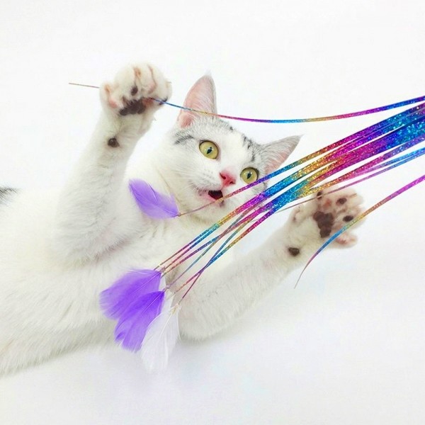 페오펫몰,크레용펫 1타15피 무지개 카샤카샤 낚시대 스틱