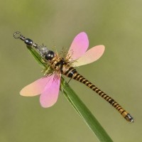 크레용펫 생생 잠자리 낚시대 리필