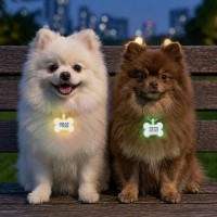 크레용펫 야광 뼈다귀 레이저각인 인식표