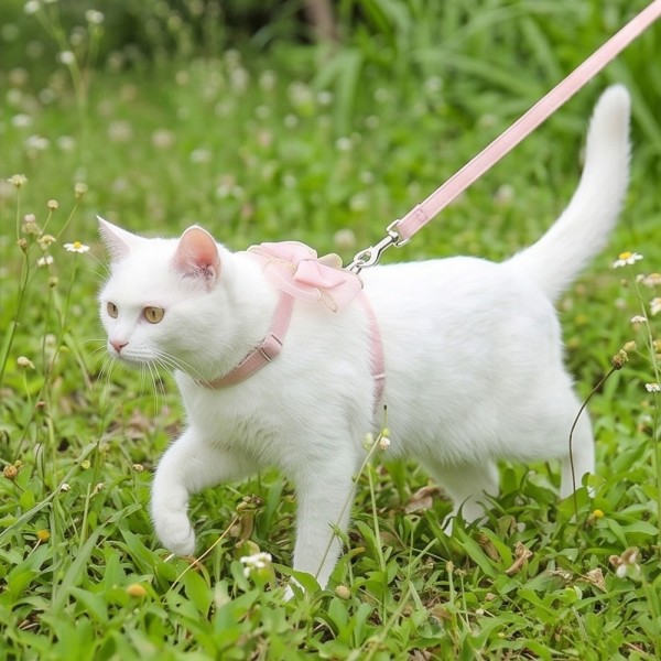 페오펫몰,크레용펫 쉬폰 리본 고양이 하네스 2color