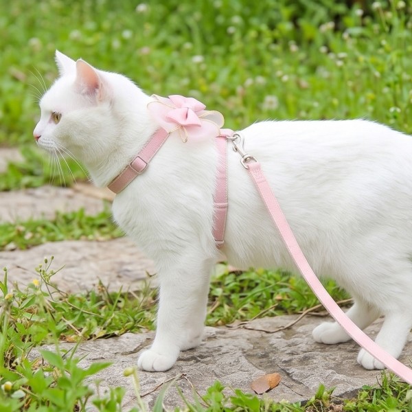 페오펫몰,크레용펫 쉬폰 리본 고양이 하네스 2color