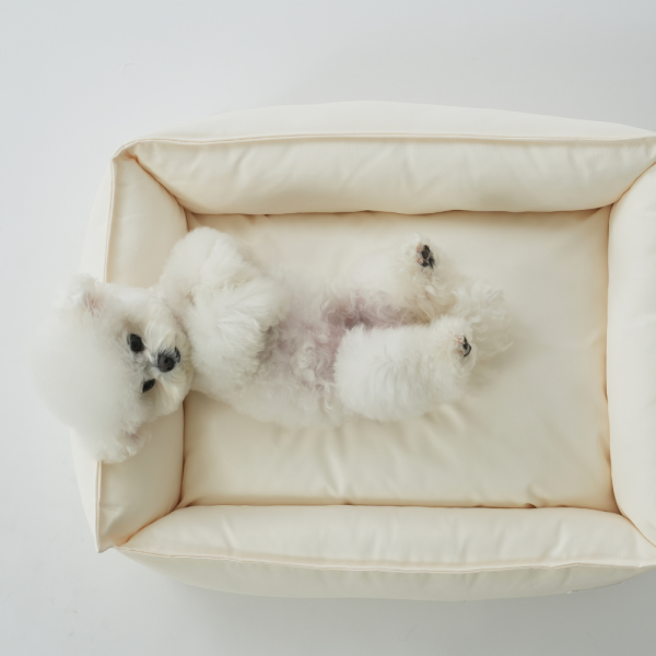 페오펫몰,[펫앤마마][새해특가] 파스텔 강아지 방석 쿠션 3종 (라이트블루/라이트핑크/라이트옐로우) M~XL