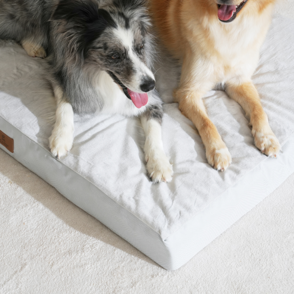 페오펫몰,[펫앤마마] 대형견 강아지 방석 쿠션 01 2종 (그레이/진그레이) L~2XL