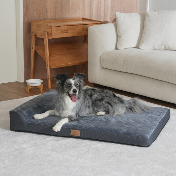 [펫앤마마][새해특가] 대형견 강아지 방석 베개 쿠션 02 2종 (그레이/진그레이) L~2XL