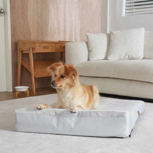 페오펫몰,[펫앤마마][새해특가] 대형견 강아지 방석 베개 쿠션 02 2종 (그레이/진그레이) L~2XL