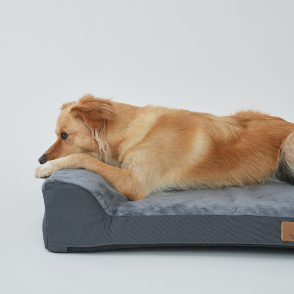 페오펫몰,[펫앤마마][새해특가] 대형견 강아지 방석 베개 쿠션 02 2종 (그레이/진그레이) L~2XL