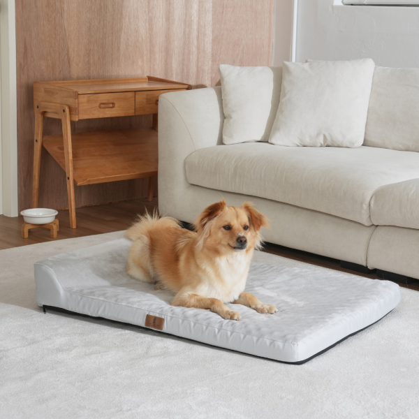 페오펫몰,[펫앤마마][새해특가] 대형견 강아지 방석 베개 쿠션 02 2종 (그레이/진그레이) L~2XL