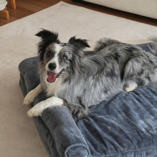 페오펫몰,[펫앤마마][새해특가] 대형견 강아지 방석 L자형 쿠션 03 2종 (그레이/진그레이) L~2XL