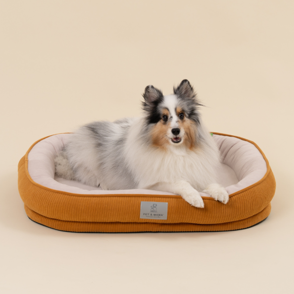 페오펫몰,[펫앤마마][새해특가] 강아지 방석 쿠션 3종 (화이트/오렌지/블루) M~2XL