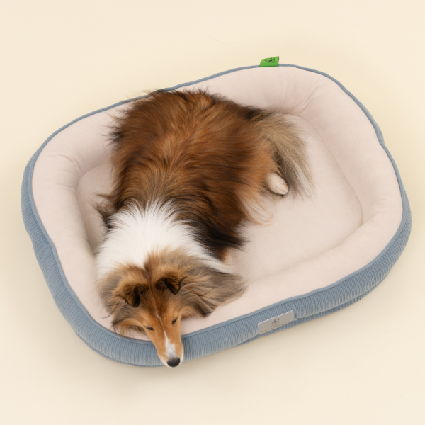 페오펫몰,[펫앤마마] 강아지 방석 쿠션 3종 (더스티블루/로즈브라운/딥옐로우) M~2XL