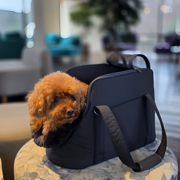 페오펫몰,[스윗테일][꽃길특가] 핸드메이드 강아지이동가방 비비드토이백 [반려동물]