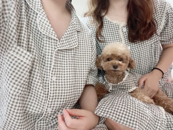 페오펫몰,(찰리롤리) 갬성체크 강아지 나시 민소매 체크 파자마 홈웨어 잠옷 실내복