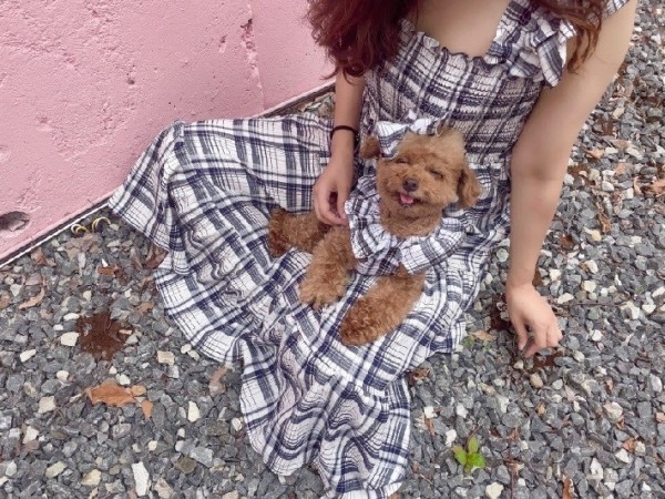 페오펫몰,(찰리셋) 바캉스 체크 스모크 원피스 강아지옷 크롭 나시 여름 애견의류 견주 커플룩