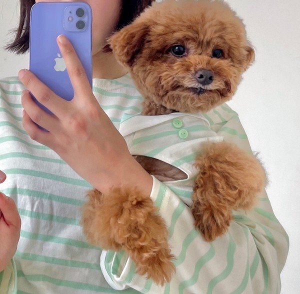 찰리롤리 조이 베어 세일러 커플룩 단가라 나시 강아지 티셔츠 견주 여름 귀여운