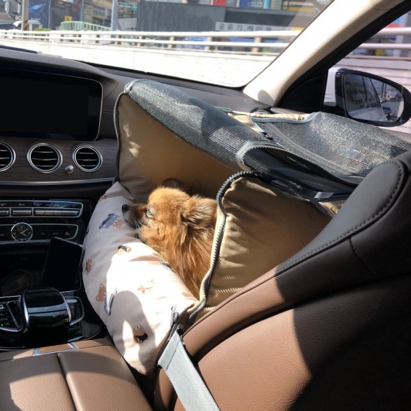 페오펫몰,뽀뇨 360도 블록킹 카시트 앞뒤좌석 MEDIUM/ LARGE/ SUPER [최저가]