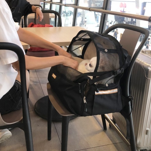 페오펫몰,뽀뇨 소형 반려동물 카시트 멜빵가방 멜카백 [최저가]