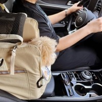 뽀뇨 콘솔 블록킹 카시트 소형견 전용 [최저가]