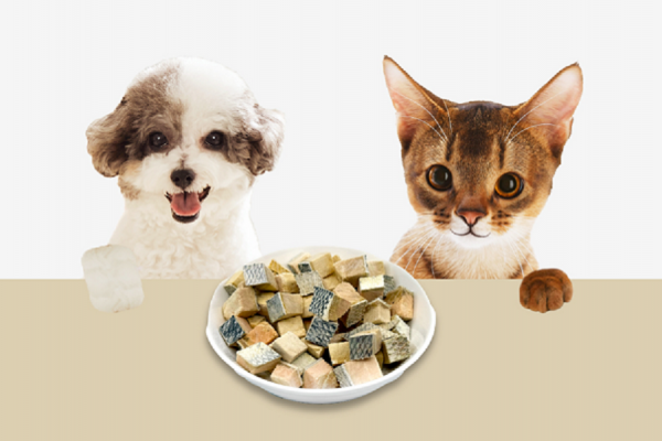 페오펫몰,동결건조 간식 통살연어 40g 휴대용 강아지 트릿 동물의집 고양이동결건조 훈련용 건강 펫푸드, 통살연어트릿