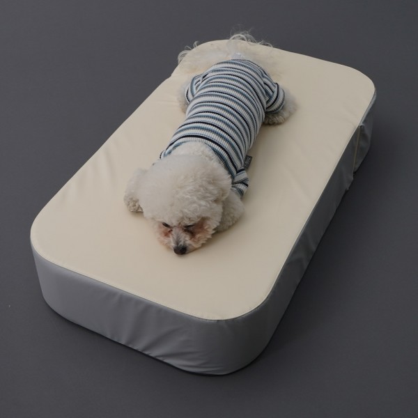 페오펫몰,레드퍼피 버드 펫스텝