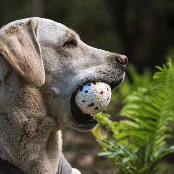 페오펫몰,레드퍼피 블루밍 공