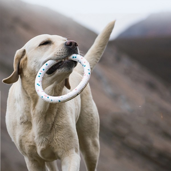 페오펫몰,레드퍼피 블루밍 공