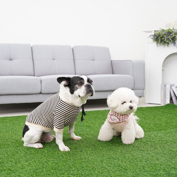 페오펫몰,레드퍼피 가정용 카페 인조잔디