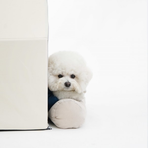 페오펫몰,레드퍼피 하푸 모던 하우스