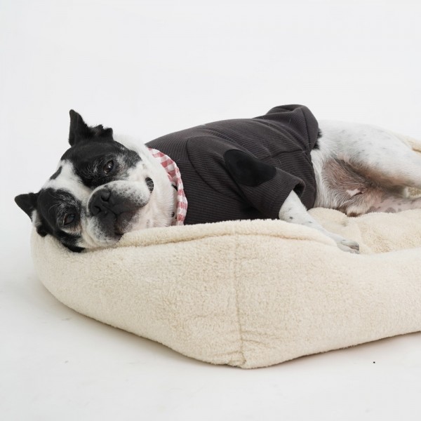 페오펫몰,레드퍼피 보솜보솜 모던방석