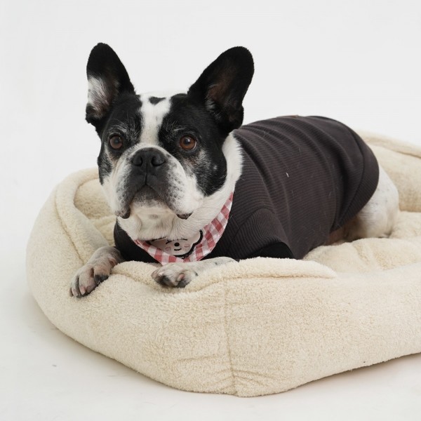 페오펫몰,레드퍼피 보솜보솜 모던방석