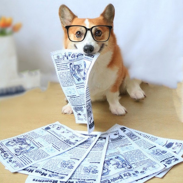 페오펫몰,레드퍼피 바스락 신문지 장난감 (5P) 강아지장난감 소리장난감 노즈워크