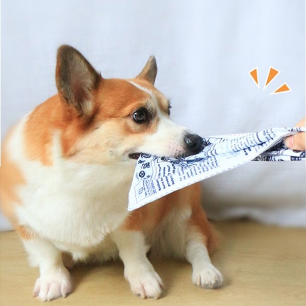 페오펫몰,레드퍼피 바스락 신문지 장난감 (5P) 강아지장난감 소리장난감 노즈워크