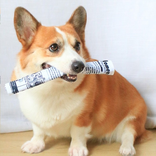 페오펫몰,레드퍼피 바스락 신문지 장난감 (5P) 강아지장난감 소리장난감 노즈워크