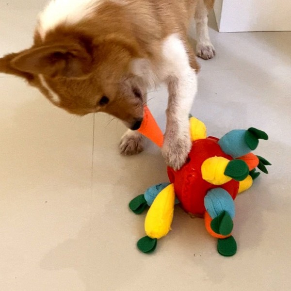 페오펫몰,레드퍼피 당근밭노즈워크장난감 노즈워크 삑삑이 애견훈련 공